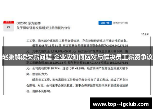 赵鹏解读欠薪问题 企业应如何应对与解决员工薪资争议 赵鹏解读欠薪问题 企业应如何应对与解决员工薪资争议
