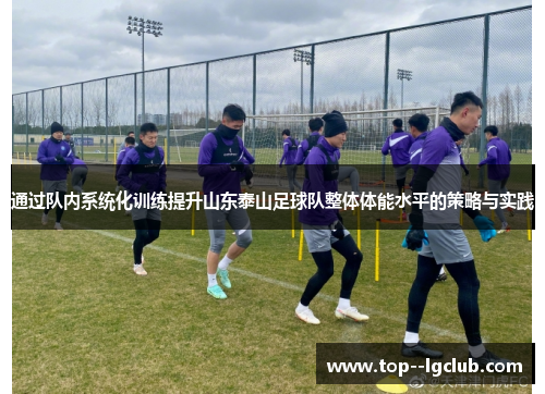 通过队内系统化训练提升山东泰山足球队整体体能水平的策略与实践
