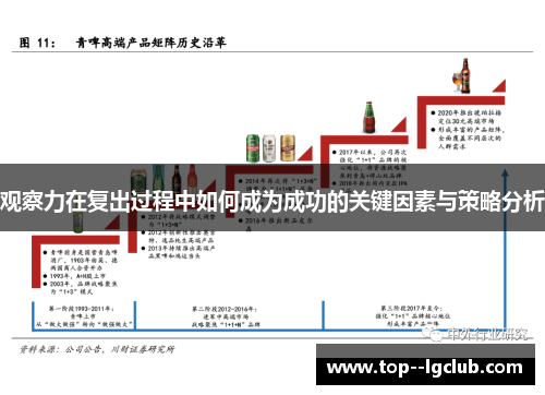 观察力在复出过程中如何成为成功的关键因素与策略分析
