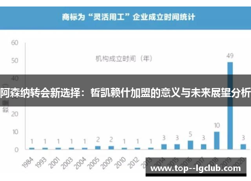 阿森纳转会新选择：哲凯赖什加盟的意义与未来展望分析