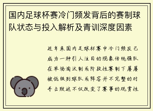 国内足球杯赛冷门频发背后的赛制球队状态与投入解析及青训深度因素